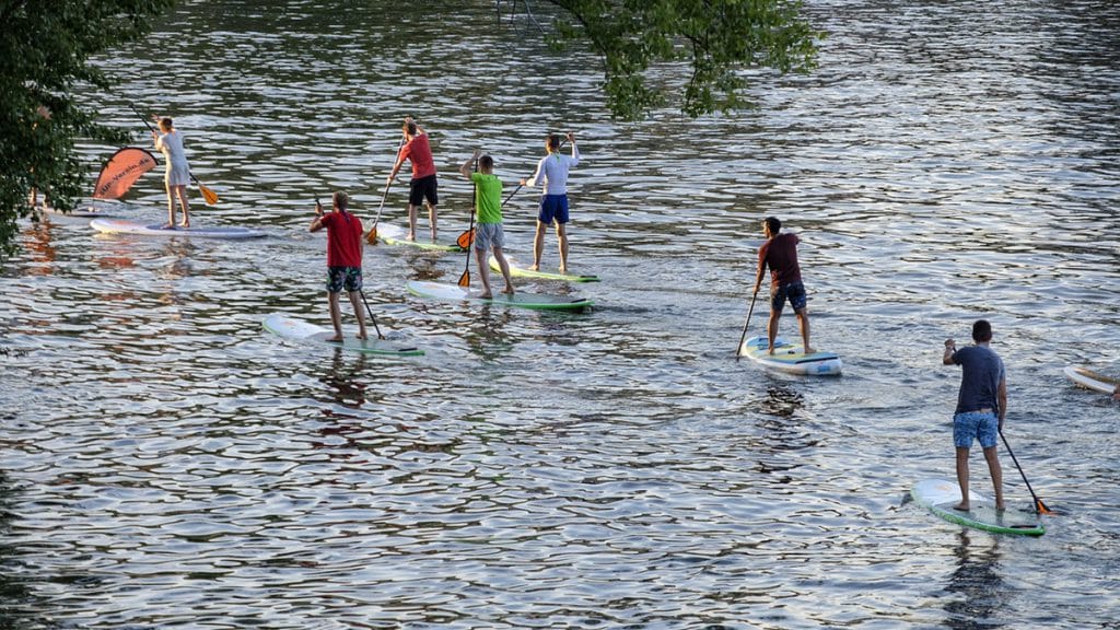 Sommerspaß mit den Zugvögeln Ludwigsburg