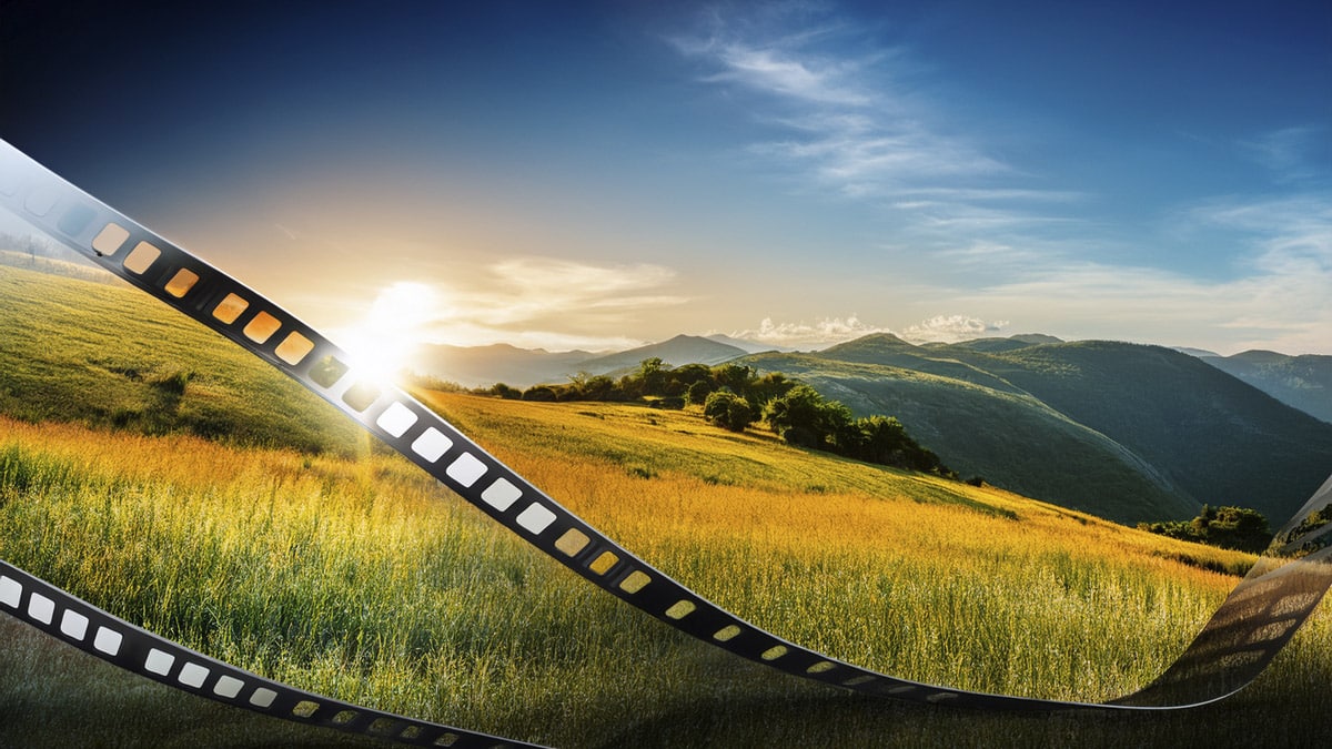 NaturVision Filmfestival 2025