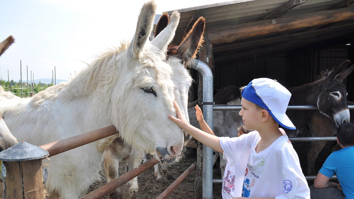 Ferienprogramm für Kinder