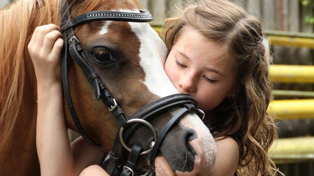 Das Ludwigsburger Kinderfest lädt zum Entdecken ein
