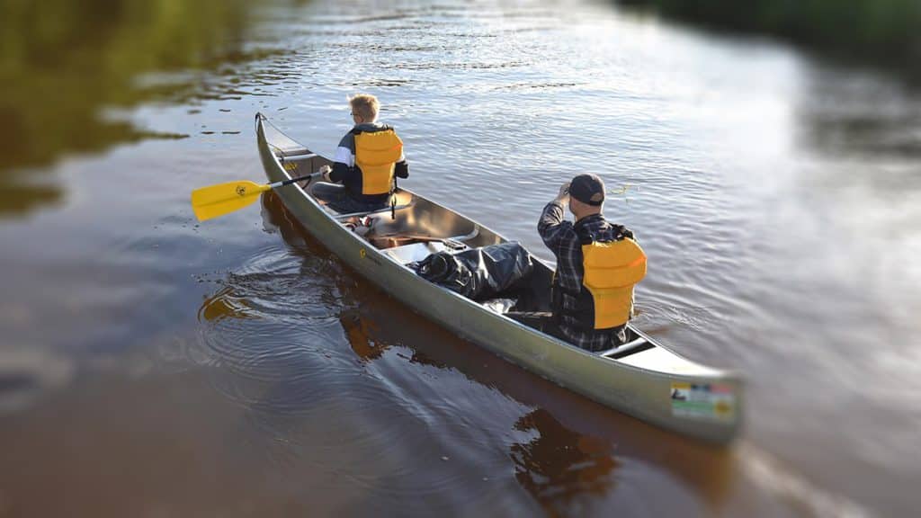 Ferien auf dem Fluss mit den Zugvögeln